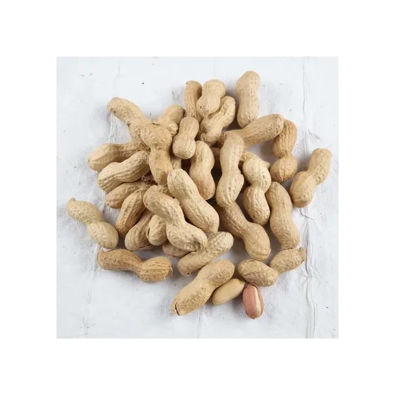 ARACHIDES COQUE GRILLEES 500G