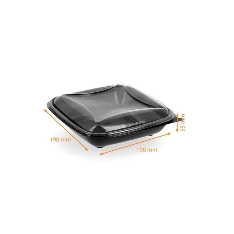 ASSIETTE SOCLE NOIR+COUV. 750CC x70
