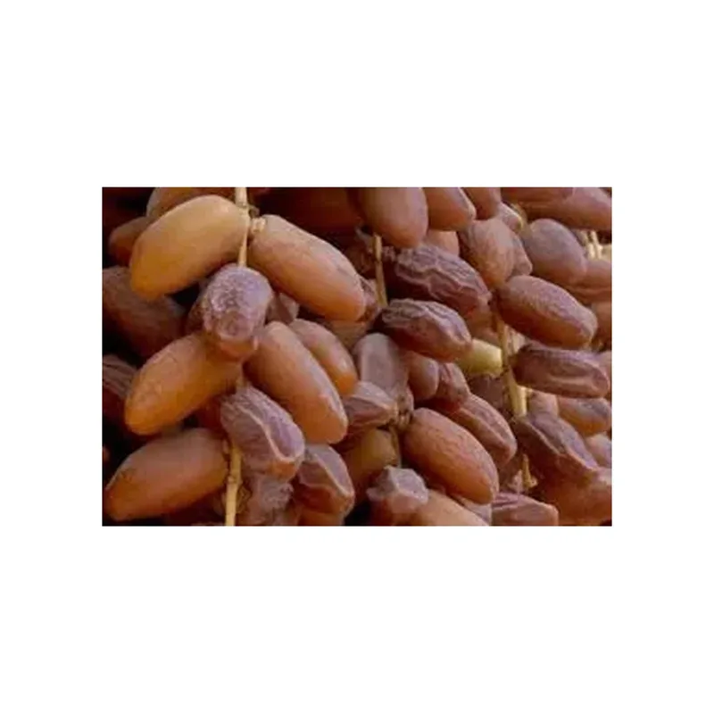DATES EL MARHOUM ALGERIE 1KG