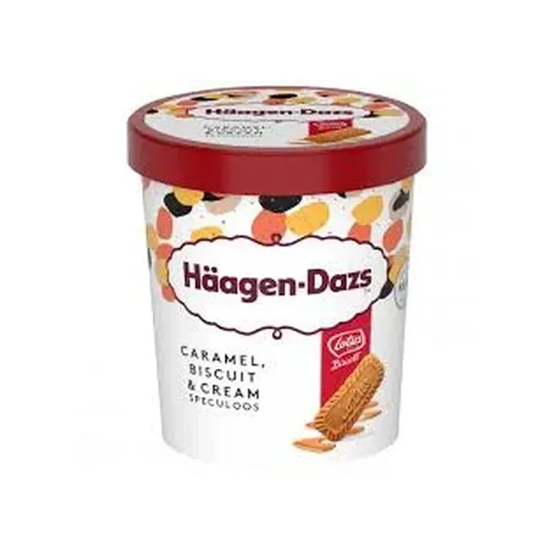 HAAGEN-DAZS CARAMEL BISCUIT & CREAM 460ML