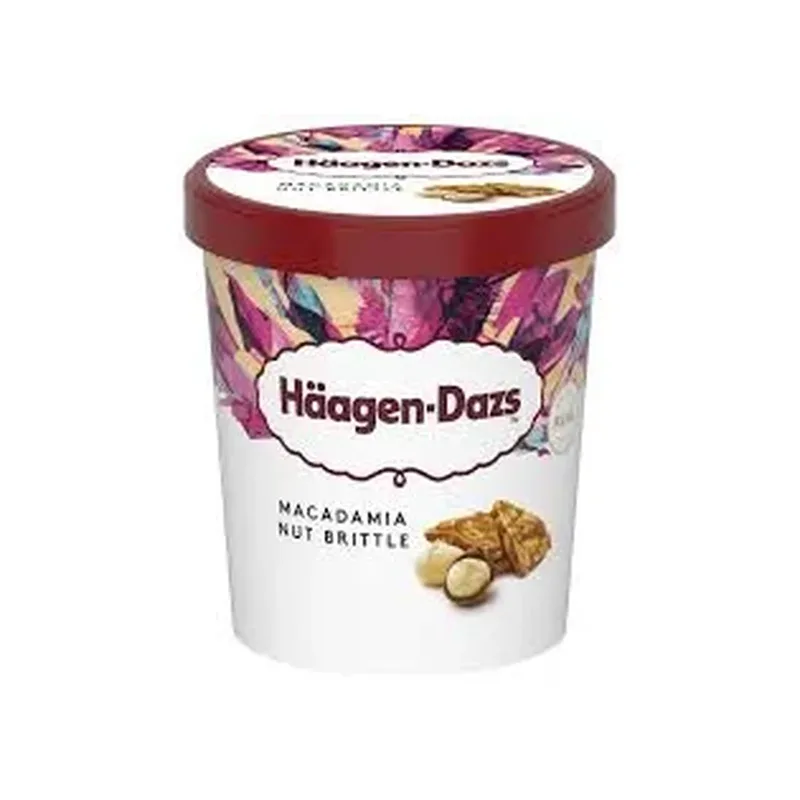 HAAGEN-DAZS MACADAMIA NUT BRITTLE 460ML