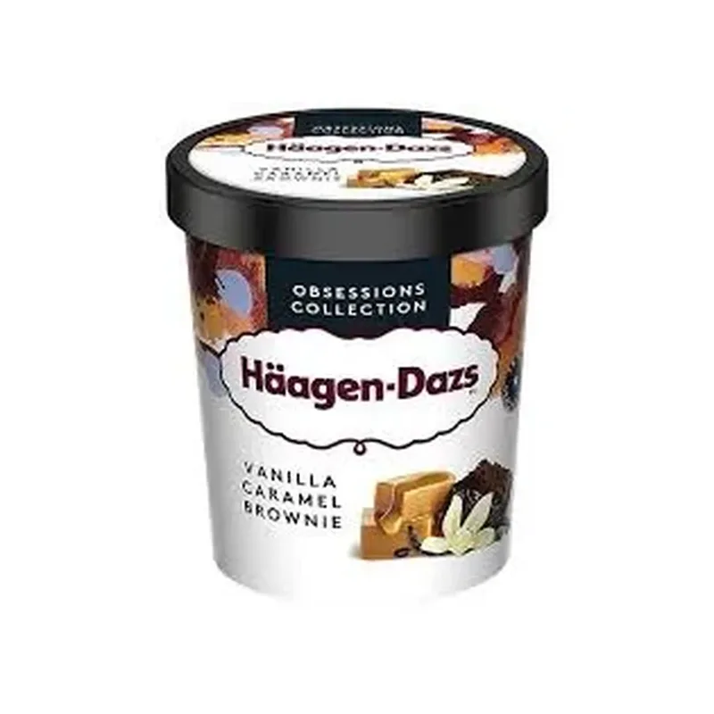 HAAGEN-DAZS MINI VANILLA CARAMEL BRWONIE 460ML