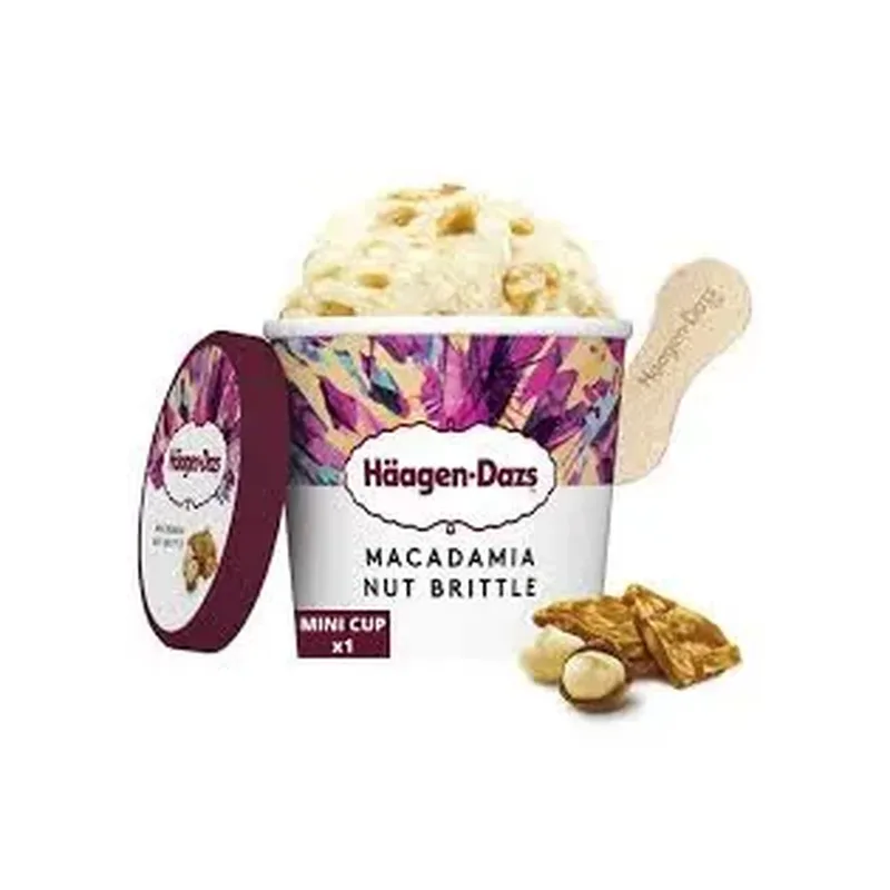 HAAGEN-DAZS MINI MACADAMIA NUT BRITTLE 95ML