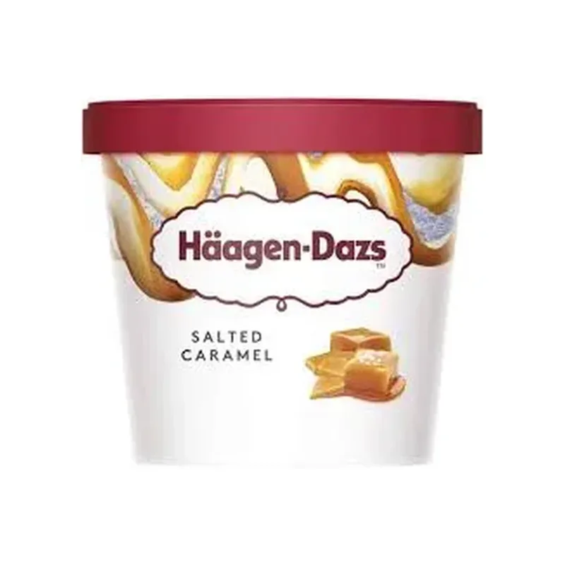 HAAGEN-DAZS MINI SALTED CARAMEL 95ML