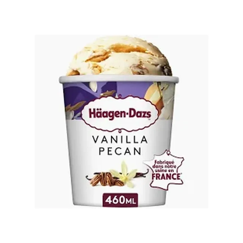 HAAGEN-DAZS VANILLA PECAN 460ML