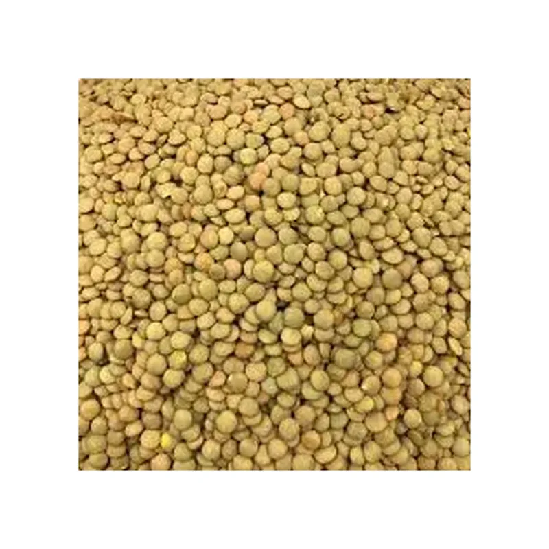 LENTILLE BLONDE 1KG