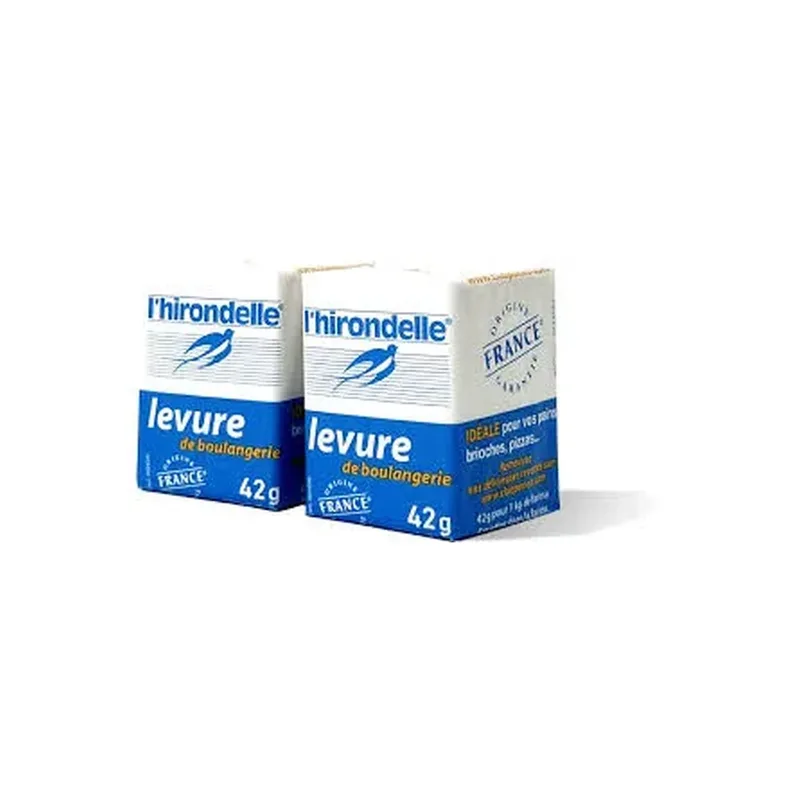 LEVURE BOULANGERIE HIRONDELLE 42G