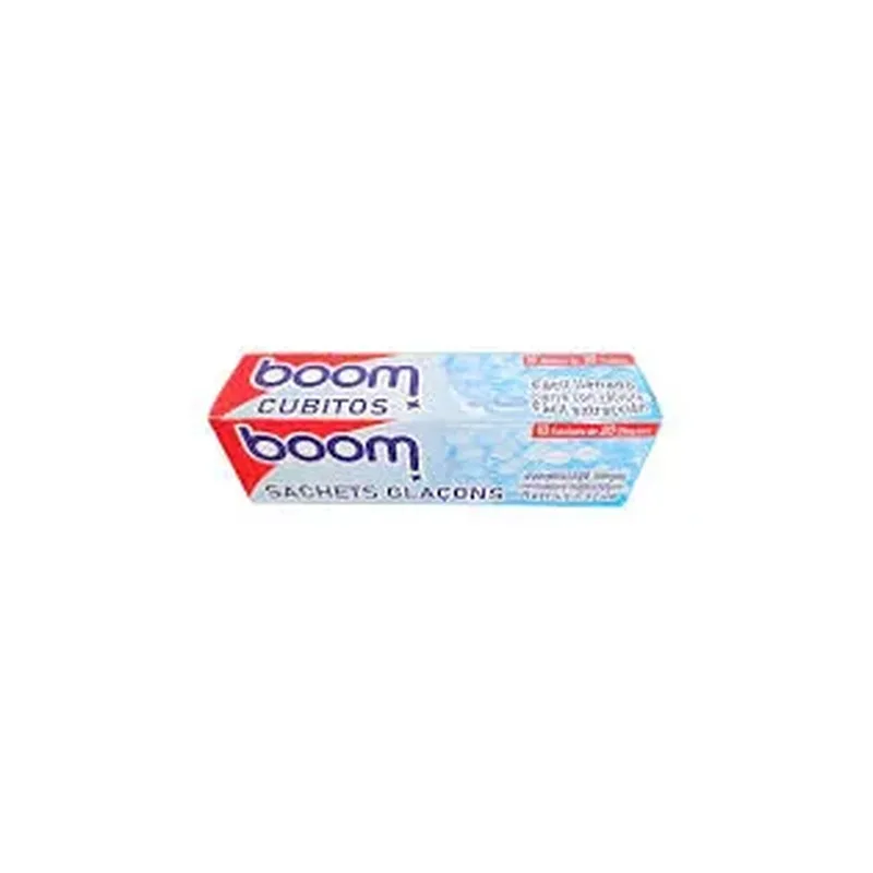SACS CONGELATION BOOM AVEC LIENS 6L x25